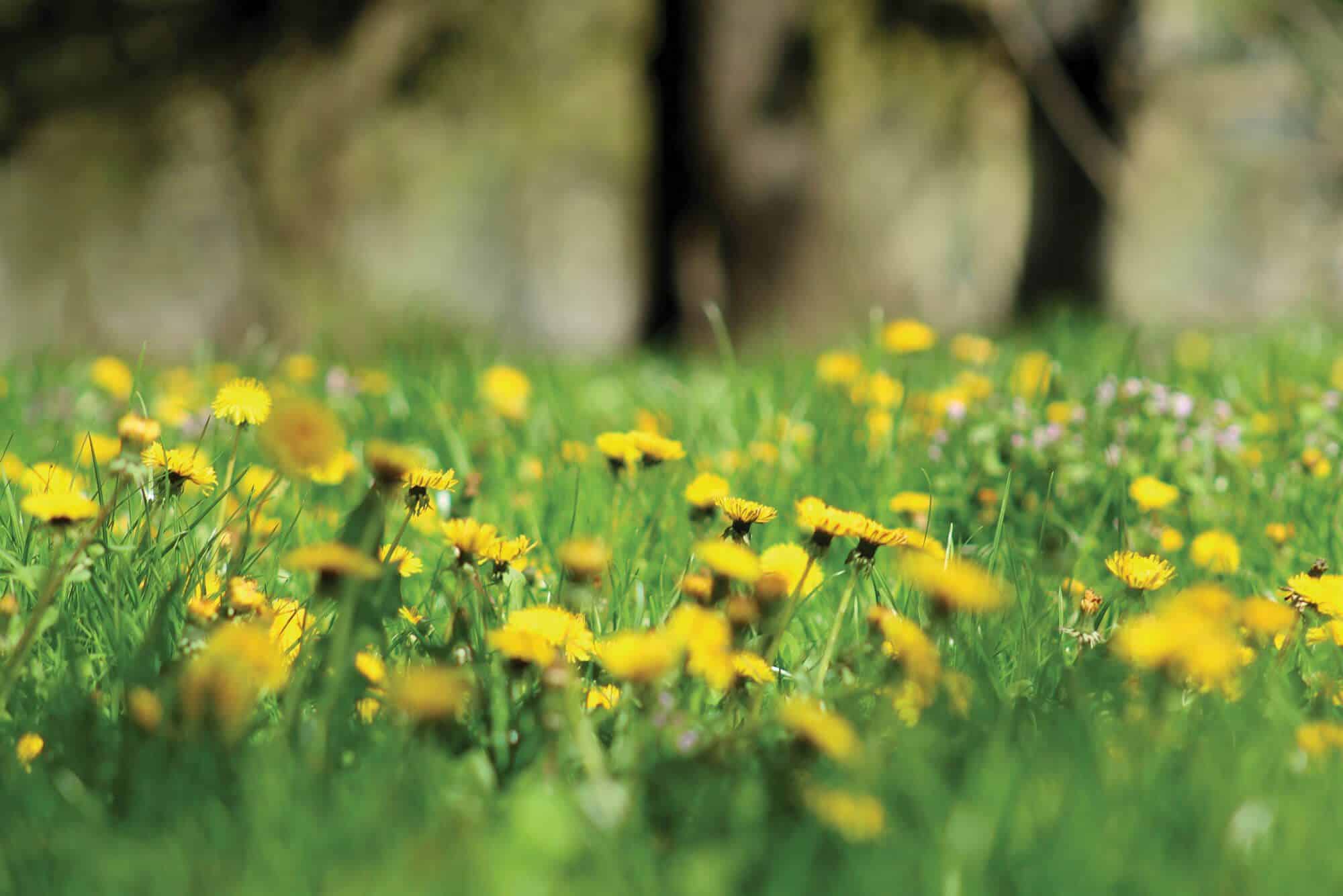 10 Ways to Add More Magic and Happiness Into Each Day