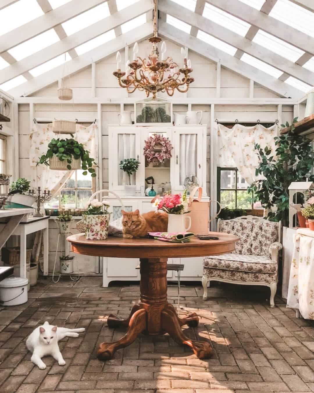 gardening inspiration